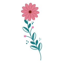 cute flower with branch and leafs isolated icon vector illustration design