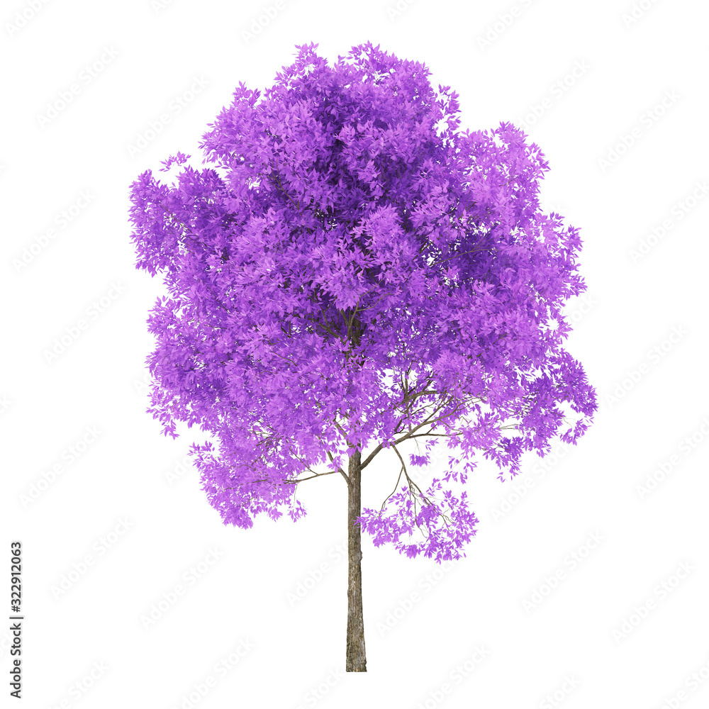 Wall mural tree on a white background. tree with purple foliage. clipping path included. 3d rendering.