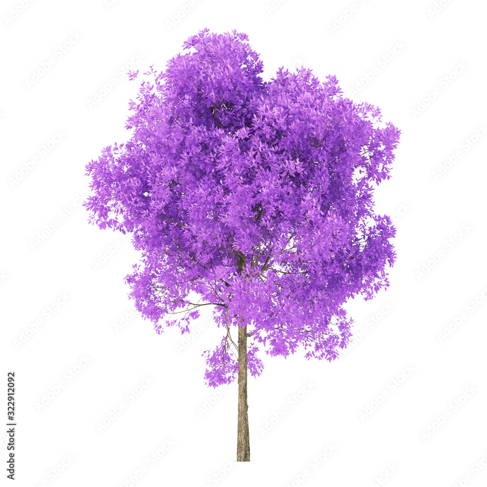 Wall mural tree on a white background. tree with purple foliage. clipping path included. 3d rendering.