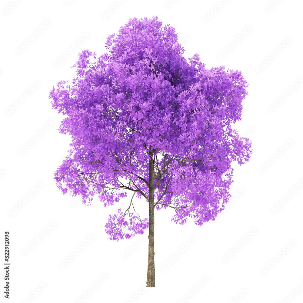 Wall mural tree on a white background. tree with purple foliage. clipping path included. 3d rendering.