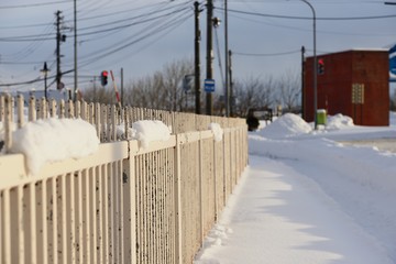 雪を被った鉄柵2