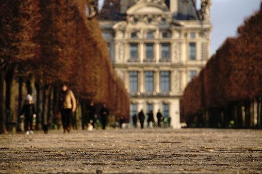 Walkway leading to the Louvre Building