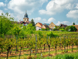 Weinberg bei Leihstadt mit Blick auf die Kirche
