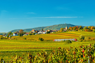 &ouml;ffentlicher Nahverkehr bei Herxheim am Berg mit Weinbergen im Herbst