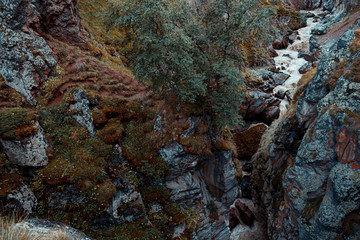 Mountain waterfall and river among red and blue of moss and stones, Elbrus region. Outdoor Adventure Concept