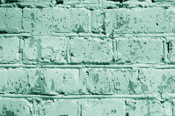 Obraz premium Painted brick wall close up. Abstract background green color toned