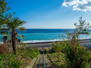二宮町　梅沢海岸の風景　２月