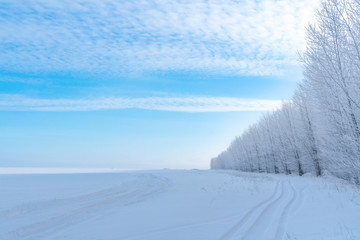 beautiful snowy winter landscape with forest and road. wintry forest trees in snow. frosty clear sunny day with blue sky and sun.