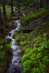 Mountain stream. Mountain nature with stones and stream.