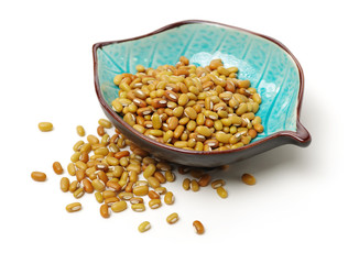 White adzuki bean on white background