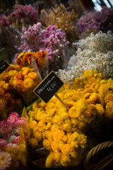 bright yellow flowers at the flower market