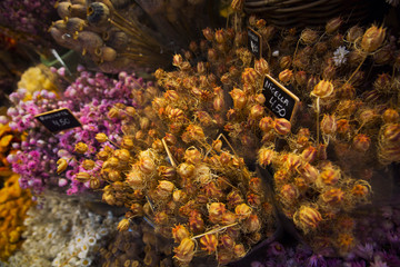 Naklejka na ściany i meble different flowers in the flower market