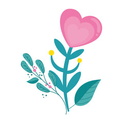 cute flower in shape heart with branches and leafs vector illustration design