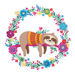 sleeping sloth © Olga