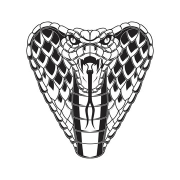 Illustration of cobra snake. Design element for logo, label, sign, emblem, poster.