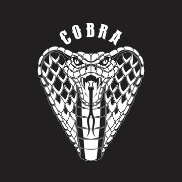 Illustration of cobra snake. Design element for logo, label, sign, emblem, poster.