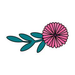 cute flower with branch and leafs isolated icon vector illustration design