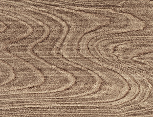 Fototapeta na wymiar wood for texture or background, new, clean and natural