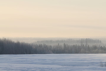 Winter nature landscape with snowy field, forest and gray sky