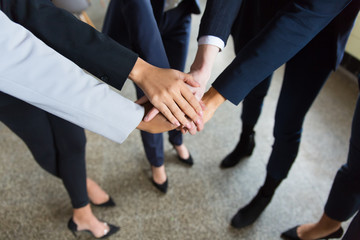 Closeup shot of female hands. Cropped shot of women putting hands together in circle. Teamwork concept