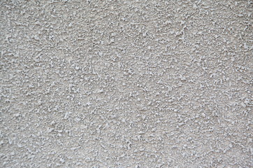 Gray cement wall as background.