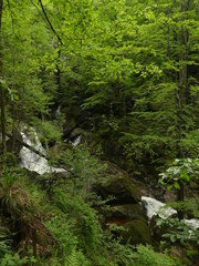 Mountain stream. Mountain nature with stones and stream.