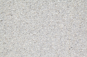 Gray cement wall as background.