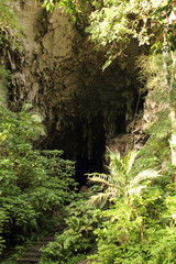 Entrance to Guacharo Cave and National Park located in Caripe, Monagas visited in 1799 by Alexander von Humboldt, who realised that the thousands of oilbirds live inside