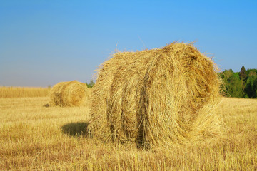 Haystack in the field