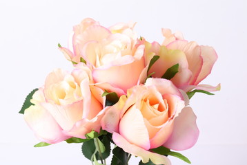 Bouquet of beautiful orange roses on white background