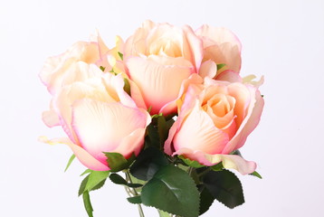 Bouquet of beautiful orange roses on white background