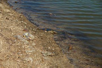 Pollution environmental problem