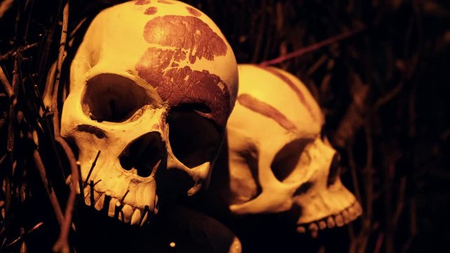 Human skulls decorated with blood - scary halloween arrangement, religious or tribal offering, remote island warning, horror movie setting