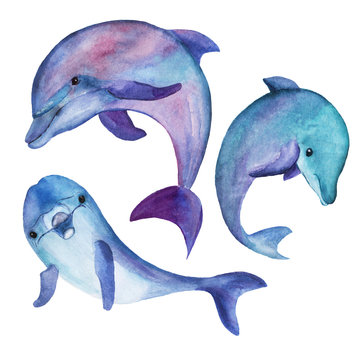A set of stylized illustrations of dolphins in different angles for individual design of patterns, cards, printed materials. All elements in high resolution, painted with watercolor by hand.
