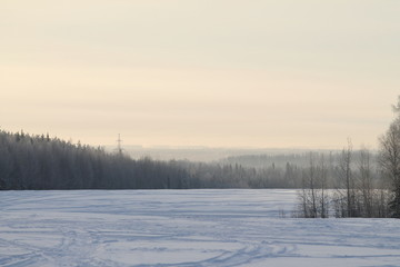 Winter nature landscape with snowy field, forest and gray sky