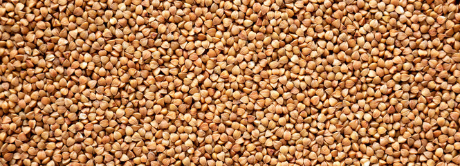 Uncooked Dry Roasted Buckwheat texture