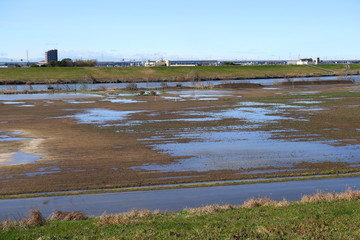 土手から見る早春の雨上がりの江戸川河川敷風景