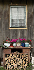 Beautiful flowers on an old wooden table near the window of a house in the village.