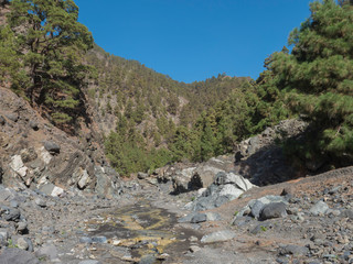 Small, almost dry water stream at ravine of the Barranco de las Angustias canyon at hiking trail Caldera de Taburiente, La Palma, Canary Islands, Spain.