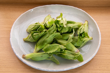 ふきのとう 蕗の薹 春の味覚 山菜