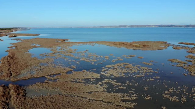 Beautiful swamp texture with reeds and dry brown grass through calm clear water of shallow lagoon reflecting clear bright blue sky