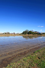 大雨の翌日の冬の田圃風景
