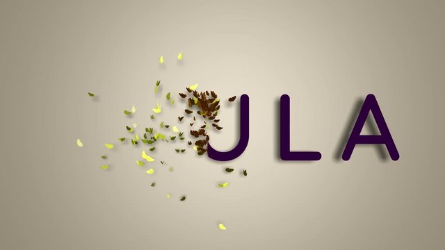 Name is Paula. The female name on a light background disappears flying in butterflies. Minimal graphics. 4k
