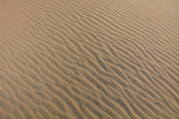 Natural Beach Landscape