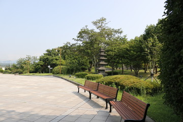 국립제주 박물관의 모습이다.