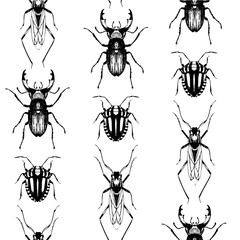 Seamless pattern with bugs and beetles.