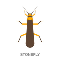 stone fly flat icon on white transparent background. You can be used black ant icon for several purposes.	
