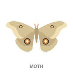 moth flat icon on white transparent background. You can be used black ant icon for several purposes.	