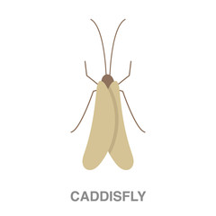 caddisfly  flat icon on white transparent background. You can be used black ant icon for several purposes.	
