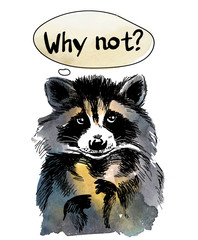 Why not? Stylish print, postcard with a raccoon. Cute raccoon drawing by hand in vintage style, children's drawing.